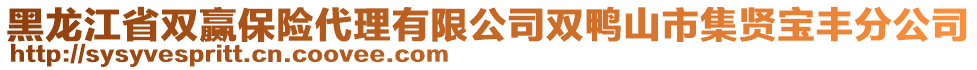 黑龍江省雙贏保險(xiǎn)代理有限公司雙鴨山市集賢寶豐分公司