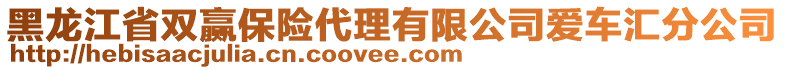 黑龍江省雙贏保險代理有限公司愛車匯分公司