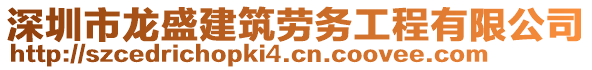 深圳市龍盛建筑勞務(wù)工程有限公司