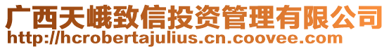 廣西天峨致信投資管理有限公司