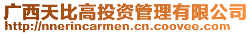 廣西天比高投資管理有限公司