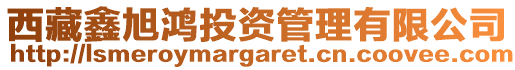 西藏鑫旭鴻投資管理有限公司