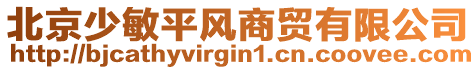 北京少敏平風(fēng)商貿(mào)有限公司