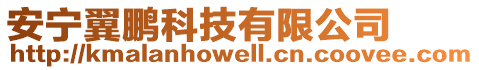 安寧翼鵬科技有限公司