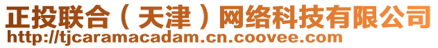 正投聯(lián)合（天津）網(wǎng)絡(luò)科技有限公司