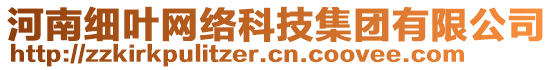 河南細(xì)葉網(wǎng)絡(luò)科技集團(tuán)有限公司