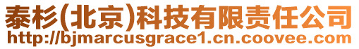 泰杉(北京)科技有限責(zé)任公司