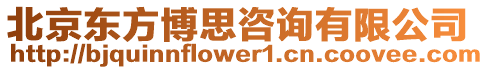 北京東方博思咨詢有限公司