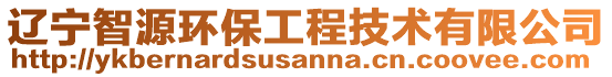 遼寧智源環(huán)保工程技術(shù)有限公司