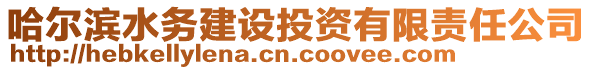 哈爾濱水務建設投資有限責任公司