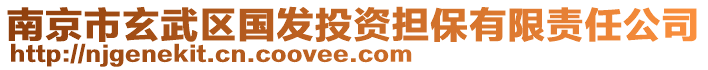 南京市玄武區(qū)國(guó)發(fā)投資擔(dān)保有限責(zé)任公司