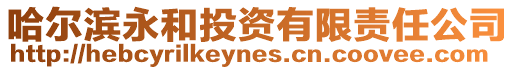 哈爾濱永和投資有限責任公司