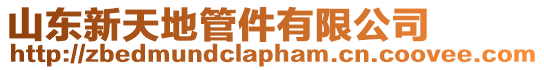 山東新天地管件有限公司