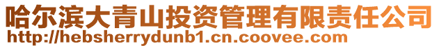 哈爾濱大青山投資管理有限責任公司