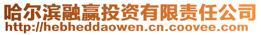 哈爾濱融贏投資有限責任公司