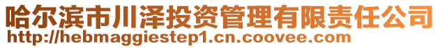 哈爾濱市川澤投資管理有限責任公司