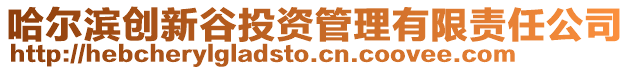 哈爾濱創(chuàng)新谷投資管理有限責(zé)任公司