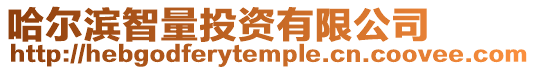 哈爾濱智量投資有限公司