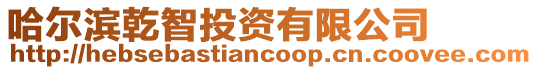 哈爾濱乾智投資有限公司