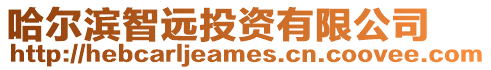 哈爾濱智遠投資有限公司