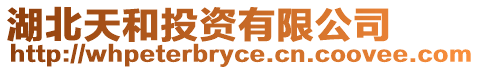 湖北天和投資有限公司