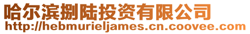 哈爾濱捌陸投資有限公司
