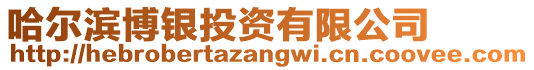 哈爾濱博銀投資有限公司