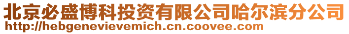 北京必盛博科投資有限公司哈爾濱分公司