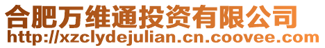合肥萬維通投資有限公司