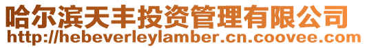 哈爾濱天豐投資管理有限公司