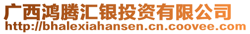 廣西鴻騰匯銀投資有限公司