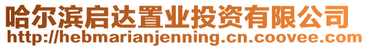 哈爾濱啟達置業(yè)投資有限公司