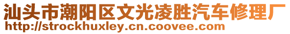 汕頭市潮陽區(qū)文光凌勝汽車修理廠