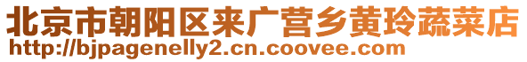 北京市朝陽區來廣營鄉黃玲蔬菜店