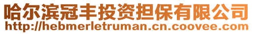 哈爾濱冠豐投資擔保有限公司