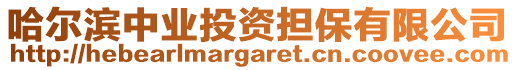 哈爾濱中業(yè)投資擔(dān)保有限公司