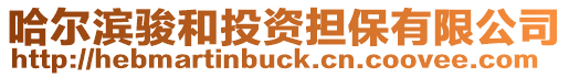 哈爾濱駿和投資擔保有限公司