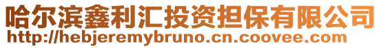 哈爾濱鑫利匯投資擔(dān)保有限公司