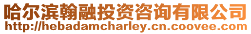 哈爾濱翰融投資咨詢有限公司
