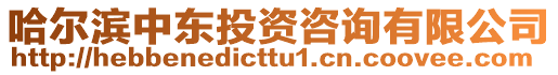 哈爾濱中東投資咨詢有限公司