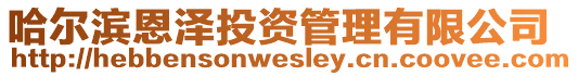 哈爾濱恩澤投資管理有限公司