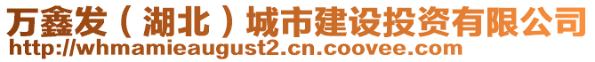 萬鑫發(湖北)城市建設投資有限公司