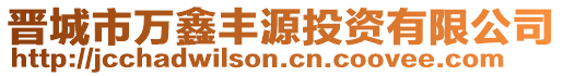 晉城市萬鑫豐源投資有限公司