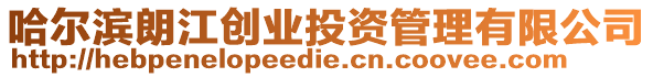 哈爾濱朗江創(chuàng)業(yè)投資管理有限公司