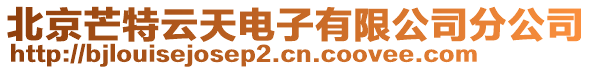 北京芒特云天電子有限公司分公司