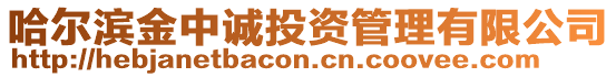 哈爾濱金中誠投資管理有限公司