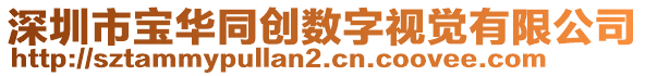 深圳市寶華同創(chuàng)數(shù)字視覺有限公司