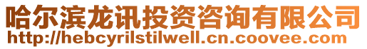 哈爾濱龍訊投資咨詢有限公司