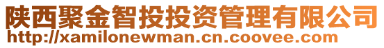 陜西聚金智投投資管理有限公司