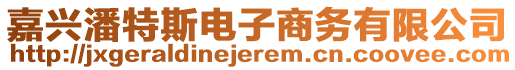 嘉興潘特斯電子商務(wù)有限公司